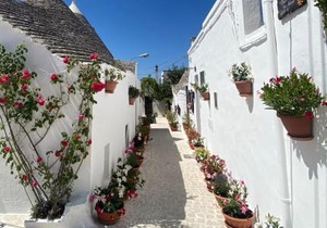 Trullo "Vicolo Fiorito"