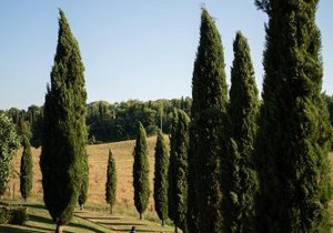 Villa Le Caggia