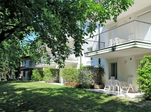 Gelso | Aquileia