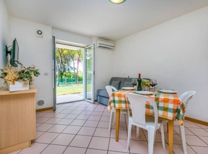 Gelso | Aquileia