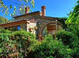 Gellino | Arezzo