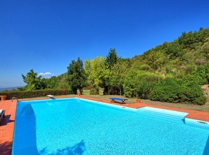 Gellino | Arezzo