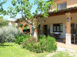 Elster | Collecorvino