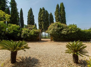 Villa Pedone | San Michele di Moriano