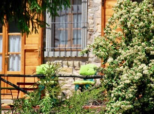 Agriturismo Lisciano Niccone | Lisciano Niccone