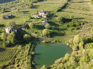 Agriturismo Podere Tegline Radda Chianti | Radda in Chianti