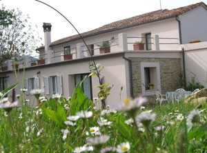 Winery The Countryside | Gemmano