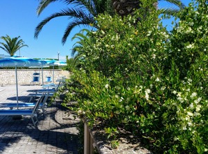 Con Piscina Vicino Al Mare | Montincello