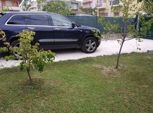 Casa Vacanze Aurora Centro Rimini | Rivabella