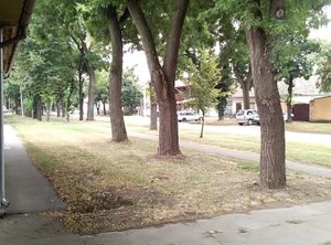 Citadela | Sombor