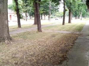 Citadela | Sombor