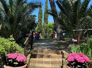 Toscana Holiday Village | Montopoli in Val d'Arno
