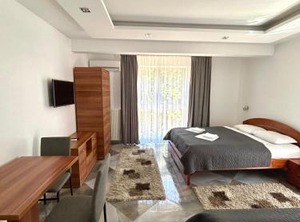 Vila | Soko Banja