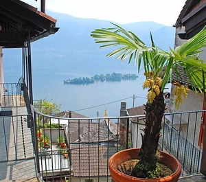 Casa Schalom 