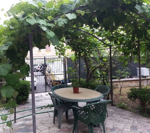 Garden Metro 