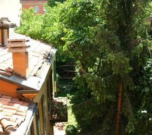 Downtown 