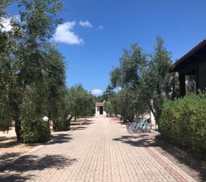 Villa Tenuta Montincello 