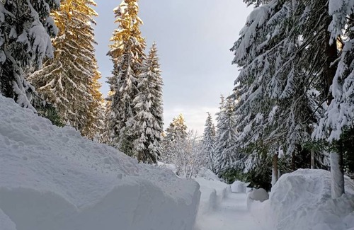 Danta di Cadore Apartment | 102 m² Apartment ∙ 4 bedrooms ∙ 8 guests