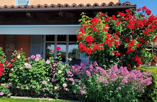 Nizza Monferrato Apartment | 120 m² Apartment ∙ 3 bedrooms ∙ 6 guests
