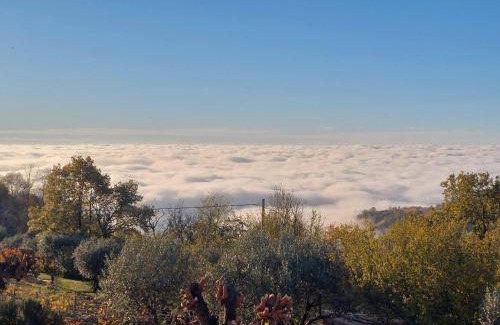 Montebello Vicentino Bed & Breakfast | 15 m² Bed and breakfast ∙ 3 guests