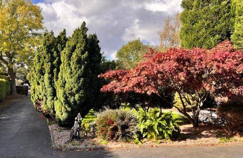 Belfast Bed & Breakfast | 16 m² Bed and breakfast ∙ 4 guests