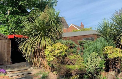 Belfast Bed & Breakfast | 18 m² Bed and breakfast ∙ 127 guests