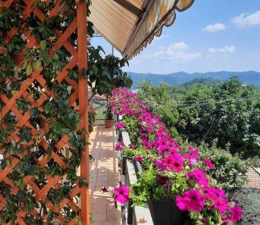 Odalengo Grande Bed & Breakfast | 20 m² Bed and breakfast ∙ 3 guests