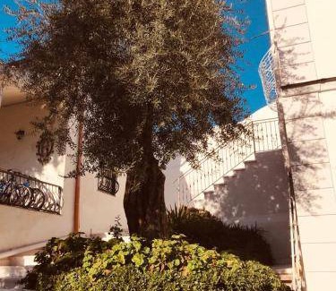 Torre del Greco Bed & Breakfast | 20 m² Bed and breakfast ∙ 3 guests