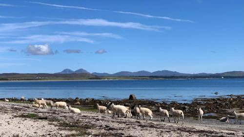 Kilchoman Bed & Breakfast | 21 m² Bed and breakfast ∙ 2 guests