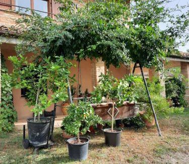 Penna San Giovanni Other | 21 m² Tent ∙ 1 bedroom ∙ 4 guests