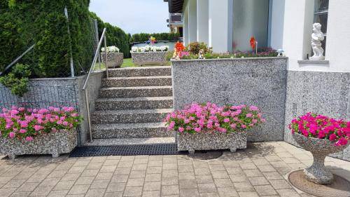 Contone Bed & Breakfast | 25 m² Bed and breakfast ∙ 2 guests