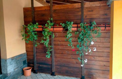 Borgo Ticino Bed & Breakfast | 25 m² Bed and breakfast ∙ 3 guests