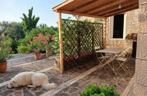 Acqualagna Apartment | 35 m² Apartment ∙ 1 bedroom ∙ 2 guests