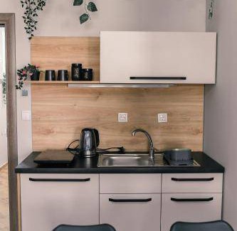 Novi Sad Apartment | 35 m² Apartment ∙ 4 guests