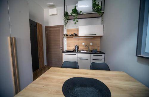 Novi Sad Apartment | 35 m² Apartment ∙ 4 guests