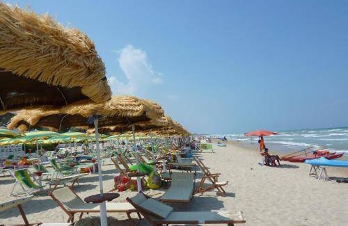 Silvi Marina Apartment | 40 m² Apartment ∙ 1 bedroom ∙ 4 guests