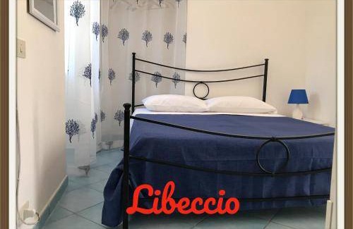 Ponza Apartment | 40 m² Apartment ∙ 5 guests