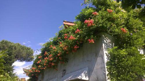 Cerveteri Bed & Breakfast | 40 m² Bed and breakfast ∙ 4 guests
