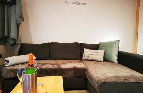 Limavady Cabin | 40 m² Cabin ∙ 1 bedroom ∙ 4 guests