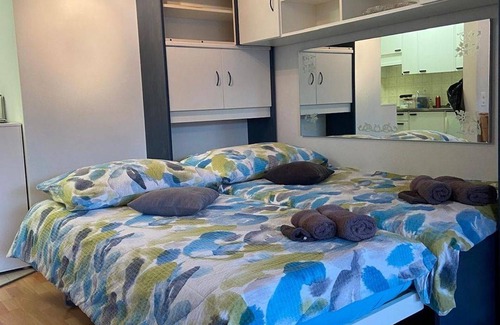 Orselina Apartment | 45 m² Apartment ∙ 3 guests