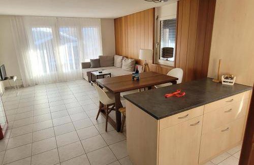 Bellwald Apartment | 46 m² Apartment ∙ 4 guests