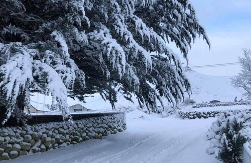 Newry Ski Chalet | 48 m² Chalet ∙ 1 bedroom ∙ 2 guests