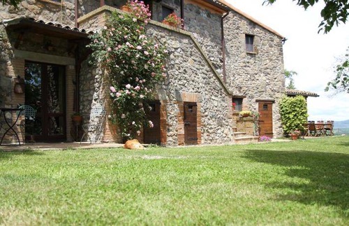 Civitella d'Agliano Apartment | 55 m² Apartment ∙ 3 guests