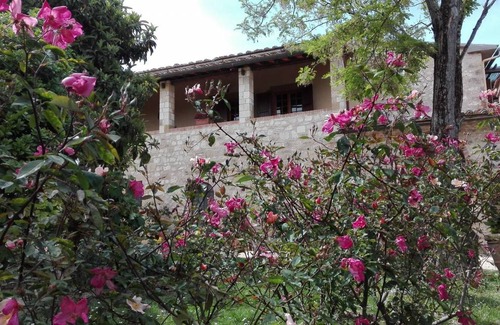 Colle di Val d'Elsa Villa | 55 m² Villa ∙ 1 bedroom ∙ 2 guests