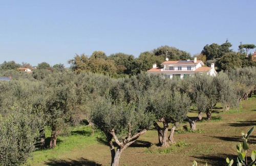 Genzano di Roma Apartment | 70 m² Apartment ∙ 2 bedrooms ∙ 4 guests