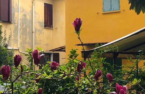 Bolognina Other | 70 m² Shared room ∙ 1 bedroom ∙ 2 guests