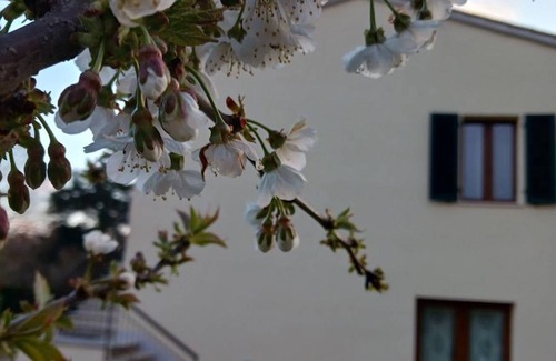 Monticiano House | 77 m² House ∙ 2 bedrooms ∙ 4 guests