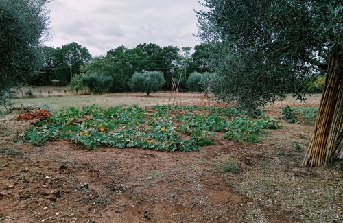 Magliano Sabina Other | Agricola Moderna byFDR