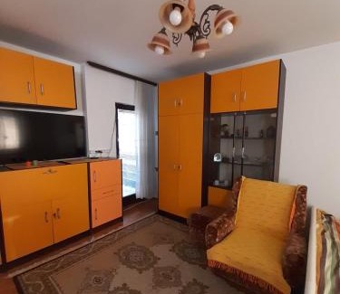 Soko Banja Apartment | Apartmani Perovic