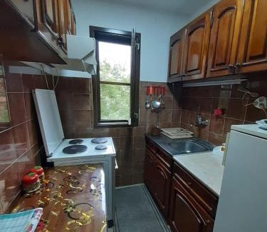 Soko Banja Apartment | Apartmani Perovic